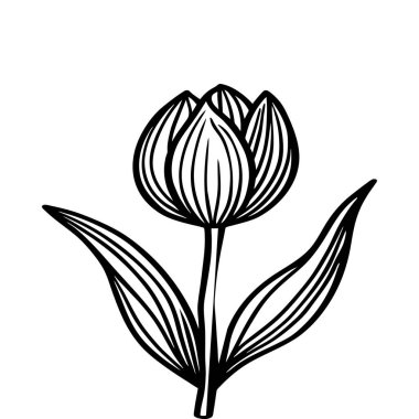 El çizimi basit çiçek desenleri düz tasarım tasarımı, süsler. Karalama çizgisi bitkisi. Beyaz arkaplanda resim ögesi silueti