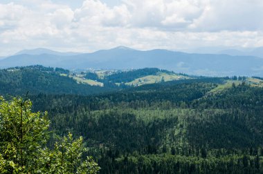 Karpat Dağları 'nın Manzarası