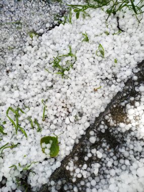 Yeşil çimlerde beyaz dolu