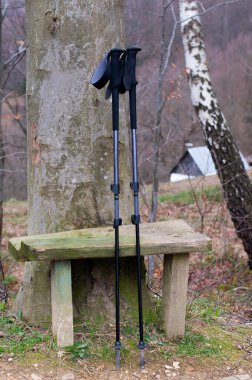 Ormandaki ahşap bankta iki siyah çadır direği