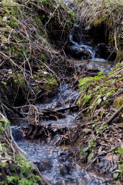 Aralarından sular akan küçük bir ırmak.