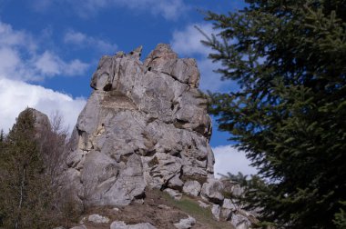 Büyük bir kaya oluşumu ön planda ve ağaç da arka planda..