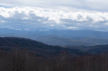 Bulutlu bir gökyüzü ve ağaçları olan bir dağ sırası.