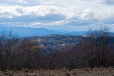 Ağaçlarla çevrili bir dağ ve arka planda bir dağ.