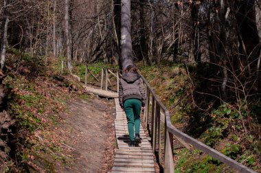 a girl  climbs along the wooden tourist trail clipart