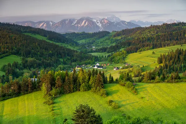 Grandeus Zirvesi 'nden Tatra Dağları' nın bahar manzarası. Yeşil çayır ve ağaçlar ön planda. Tatra zirveleri kısmen renkli bulutlarla kaplı.