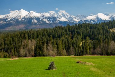Güneşli bir günde High Tatras Dağları 'ndaki (Vysoke Tatry, Tatry Wysokie) podhale' den bahar manzarası bulutsuz. Yeşil çimenler ön planda.