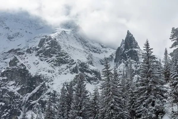 Kış mevsiminde karlı ağaçlarla Polonya Tatra dağları ve Morskie Oko Gölü yakınlarında donmuş Mnich (Monk) kayalık dağ insanları olmadan. Bulutlarla kaplı yüksek dağlar.