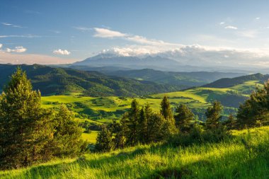 Pieniny Dağları 'ndaki güzel yeşil manzara Polonya-Slovakya sınırında. Bahar güneşli akşam, sulu yeşil, ve mavi gökyüzü ile Tatra manzaralı.