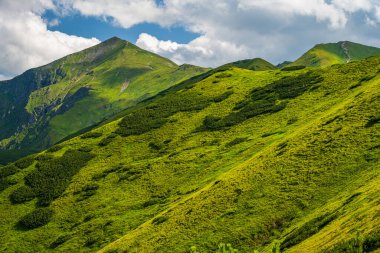 Green hills in summer day. West Tatras Mountains, Poland. Blue cloudy sky and sun.
