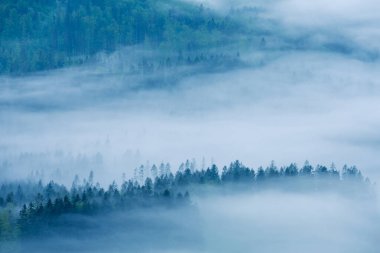 Karamsar orman sisle kaplı.