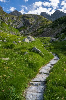 Yazın yürüyüş yolu, Tatra Dağları, Polonya.