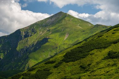 Batı Tatra Dağları 'ndaki yeşil dağ zirvesinin yakın görüntüsü. Starorobocianski Wierch Yazın mavi, bulutlu altında.