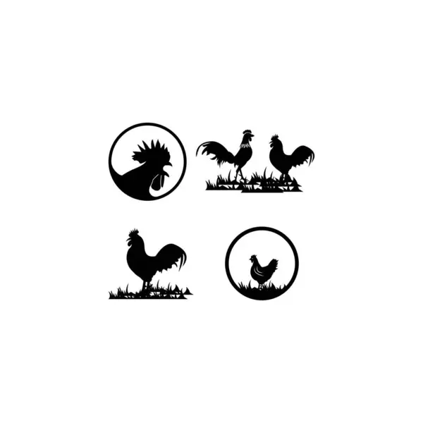 Wektorowy Wizerunek Kurczaka Logo Szablon Ikona Ilustracja Projektowanie — Wektor stockowy