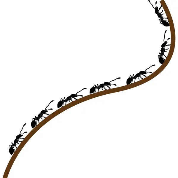 Modelo Logotipo Ant Design Ilustração Vetorial — Vetor de Stock