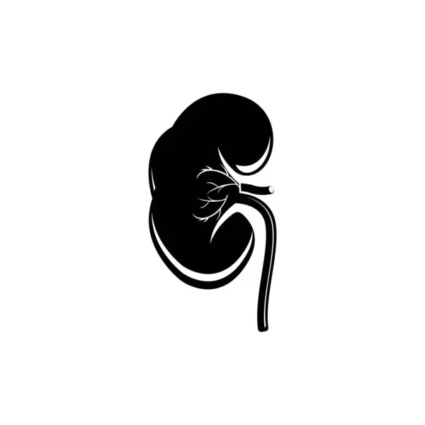 肾脏系统矢量图标插图设计 — 图库矢量图片