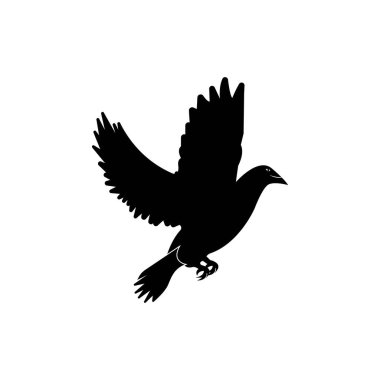 Dove Logo Şablonu vektör çizimi tasarımı