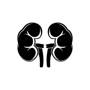 Böbrek sistemi vektör simgesi illüstrasyon tasarımı