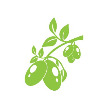 Zeytin logo vektör illüstrasyon tasarım seti