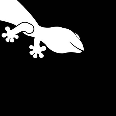 ev kertenkelesi vektör simgesi basit tasarım