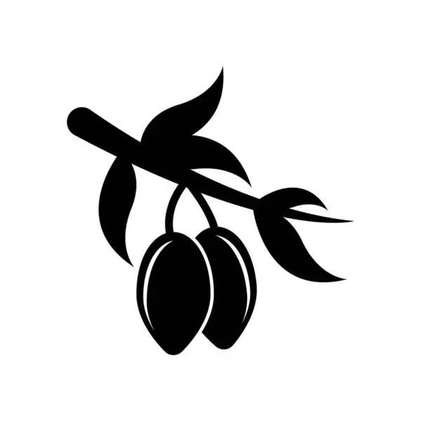 Zeytin logo vektör illüstrasyon tasarım seti