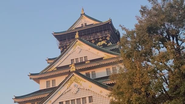 Von Der Spitze Der Ikonischen Burg Von Osaka Aus Können — Stockvideo