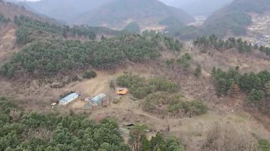 Yoğun Ağaç Kapaklı Dağlık Kırsal Bölge