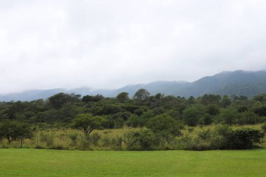 Landscape of the mountains of Crdoba, Argentina. autochthonous vegetation. Shrubs and trees with mountains in the background. Calamuchita Valley. Villa General Belgrano. clipart