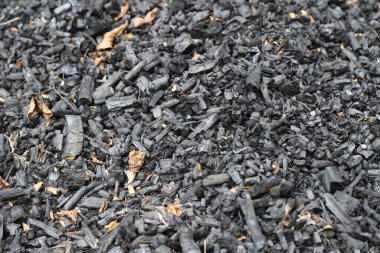 Küller. Yanmış odun kalıntıları. Şenlik ateşi söndü. Yanmış ağaç gövdeleri. Orman yangını. Doğal yakıtlar. Doku.