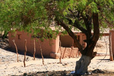 Adobe duvar evi. Tuğla. Kuzey Arjantin 'de tehlikeli bir ev. Yoksulluk. Yalnızlık. Terk edilme. Ağaç ve çiftlik.