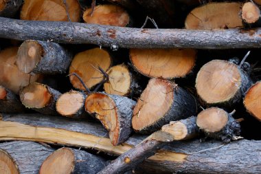 Logs of firewood stacked in wheelbarrow. Tree wood cut for heating in winter. clipart