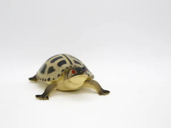 stock image Sea turtle. Realistic toy turtle. Plastic turtle. Reptile. Oviparous animal. Animal. Isolated