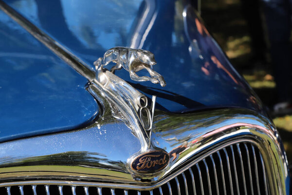 Detail of the front of a blue Ford Cupe V8 Galgo car. Collector car with heraldic emblem. Car with hood ornament with greyhound dog. Outdoor exhibition of old classic cars.