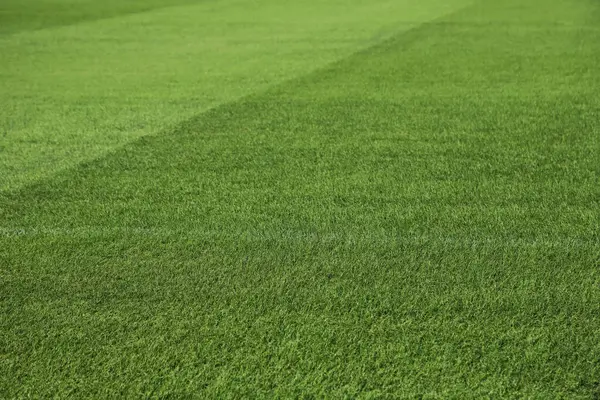 Yeşil stadyum çimenleri. Futbol stadyumunun doğal çimenleri. Sarayın çimen dokusuna doğal çimlerle yakın plan. Kopya alanı olan spor arkaplanı.