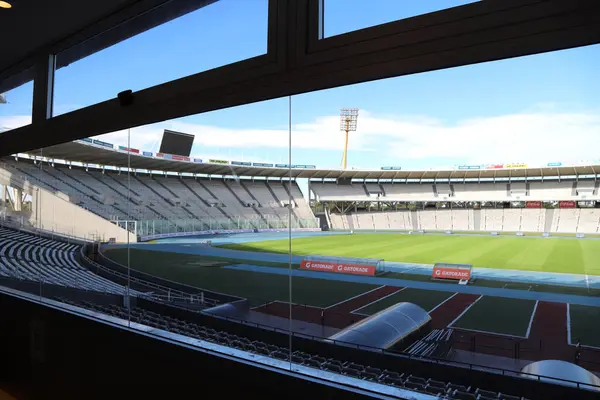 Mario Alberto Kempes Soccer Stadyumu 'nun mahkemesi Arjantin' in Crdoba şehrinde VIP ziyaretçi sektöründen görüldü. Yeşil çimenleri ve mavi gökyüzü olan boş bir futbol stadyumu..