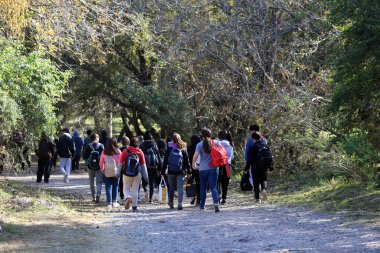 Bir grup öğrenci orman yolunda yürüyorlar. Öğrenciler açık hava yürüyüşü yapıyor. Gençler grup gezisinde..