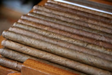 Küba puroları. Küba purosu, puro ya da puro üretimi. Küba 'nın ulusal ürünü. Tütün. Elinde tütün yaprakları olan purolarla silahlanmış. Puro üretimi. Sigara içilmesine itiraz.