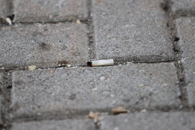 Cigarette butt on pavement. Trash. Environmental pollution