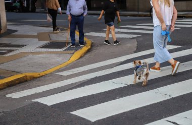 Gündüz vakti evcil hayvanlarıyla kalabalık bir caddeden geçen insanlar.