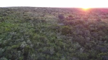 Arjantin, Crdoba 'daki Sierra' larda gün batımının insansız hava aracı videosu.