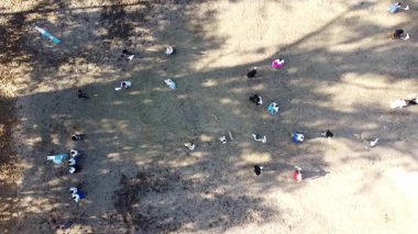 Arjantinli büyük bir dans grubu, bir İHA 'dan çekilen Chacarera' yı açık havada sahneliyor..