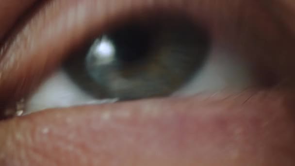 一个美丽的绿色人眼向不同的方向看 对光作出反应 宏观视频详细真实的人眼视频 电影镜头 — 图库视频影像