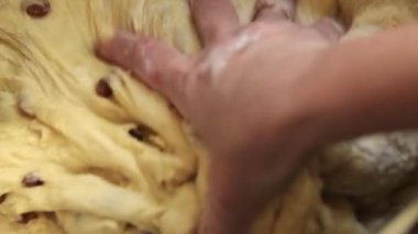 Tatlı hamur işleri için hamur hazırlayan bir kadının en iyi görüntüsü. Eller hamuru kuru üzümle yoğurur, yemek hazırlama konsepti, iş süreci.