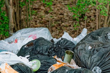 Ormana çöp torbası atılmış, park edilmiş. Çöp torbaları. Tek kullanımlık plastik torbalar. Atık yönetimi. Çevresel sorunlar, kirlilik. Çevre koruma