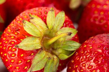 Beyaz arka planda taze olgun doğal çilekler. Taze toplanmış bahçe çilekleri. Soyut bir arkaplanda çileklerin detaylı fotoğrafı. Görüntüyü kapat.