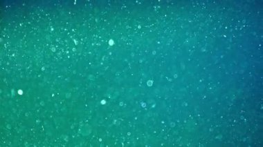 Mavi parıltılı soyut su arka planı. Suda parlayan toz parçacıklarını kaotik bir şekilde hareket ettiriyor. Değişik renkler. Su seli izole edildi. Suyun altında. Macro dünyası. Kalıplı. Boşluk, galaksi etkisi.