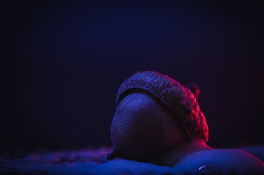 Yüzeyinde köpük olan tek bir meşe palamudu. Neon parıltısı. Soyut arkaplan, duvar kağıdı, doğa teması
