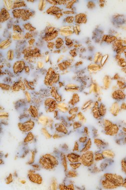 Yüzeyinde yulaf ezmesi ve tahıl gevreği parçaları yüzen bir kâse sütün yakın çekimi. Görüntü malzemelerin dokusunu ve karışımını vurguluyor. Sağlıklı ve sağlıklı bir kahvaltı öneriyor..