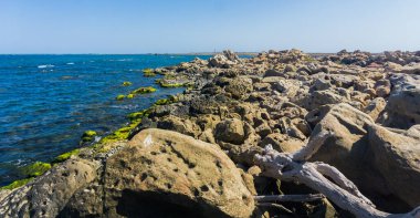 Deniz kıyısının manzarası