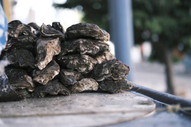 İstiridyeler masada.